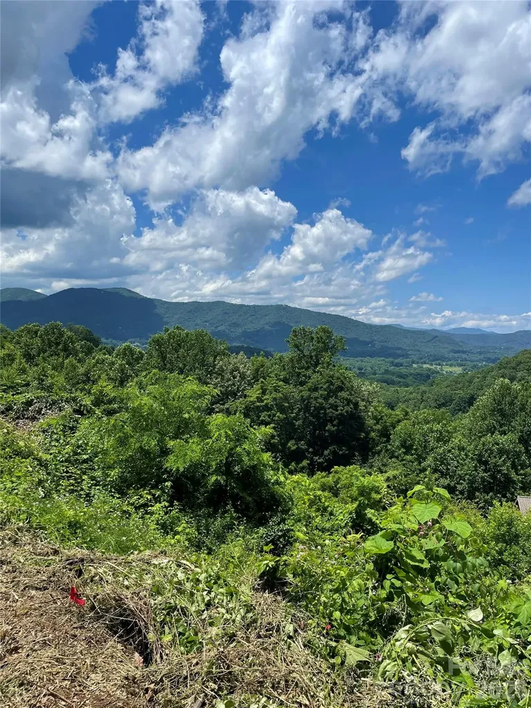 LOT#36 Fern Brook Drive Waynesville NC 28786
