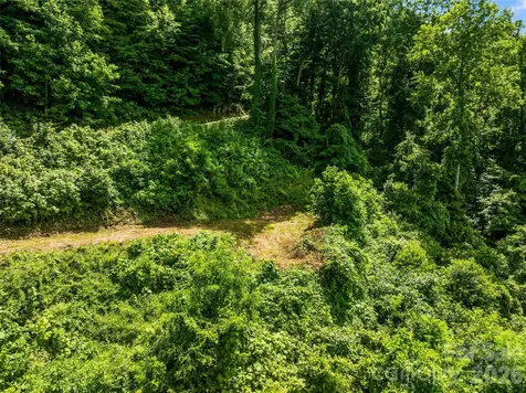LOT#36 Fern Brook Drive Waynesville NC 28786