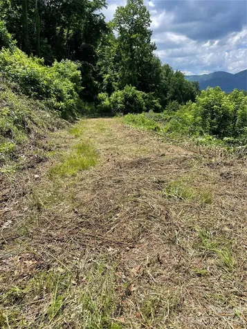 LOT#36 Fern Brook Drive Waynesville NC 28786