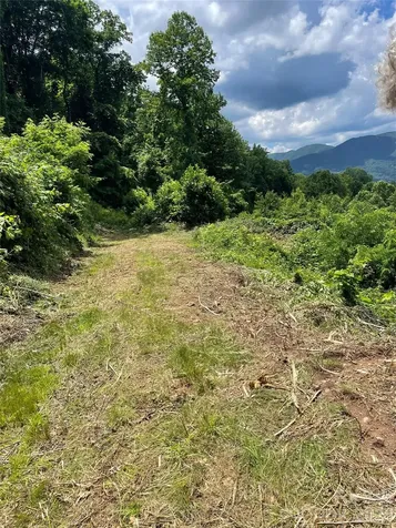 LOT#36 Fern Brook Drive Waynesville NC 28786