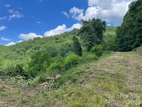 LOT#36 Fern Brook Drive Waynesville NC 28786