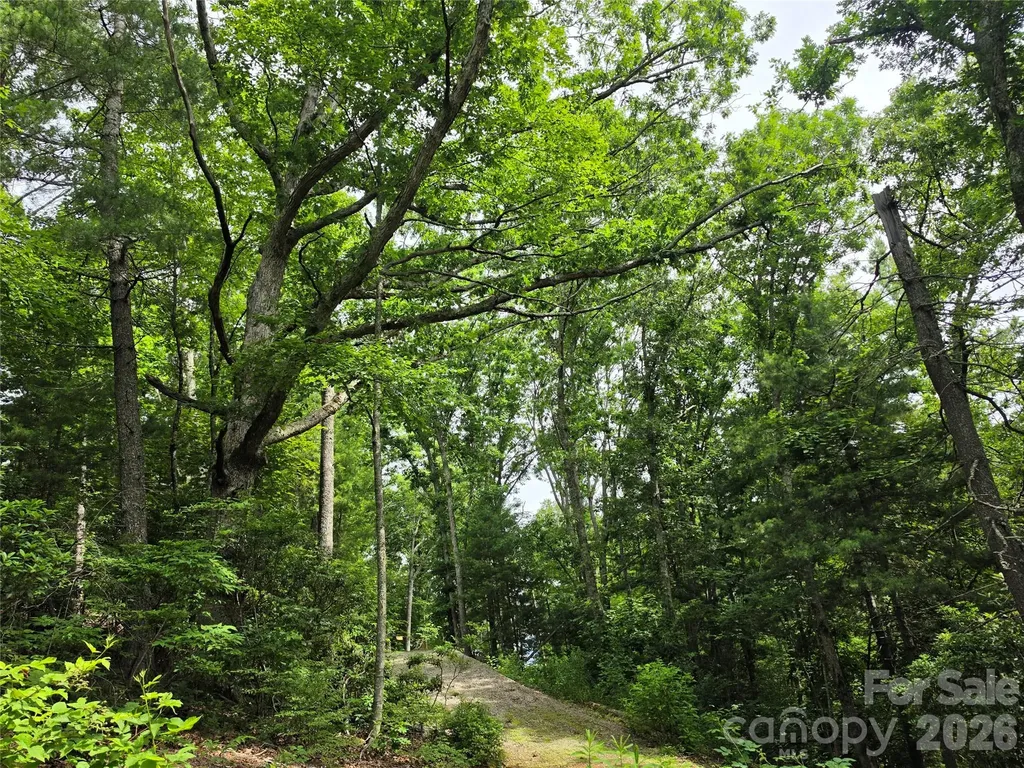 9999 Fairview Forest Drive Fairview NC 28730