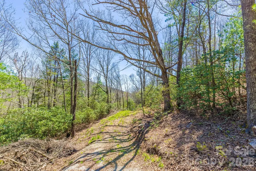 9999 Fairview Forest Drive Fairview NC 28730