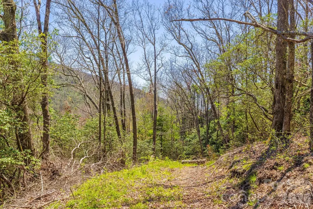 9999 Fairview Forest Drive Fairview NC 28730