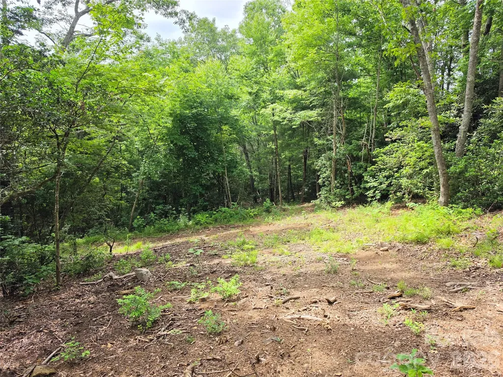 9999 Fairview Forest Drive Fairview NC 28730