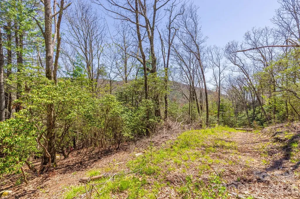 9999 Fairview Forest Drive Fairview NC 28730