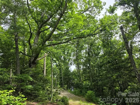 9999 Fairview Forest Drive Fairview NC 28730
