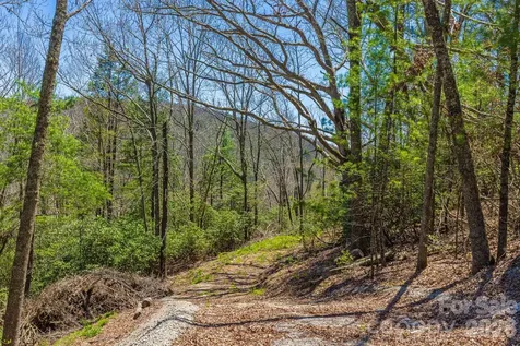 9999 Fairview Forest Drive Fairview NC 28730