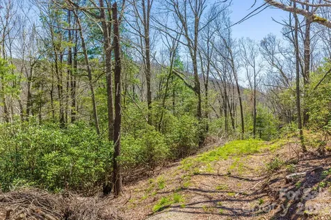 9999 Fairview Forest Drive Fairview NC 28730