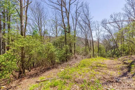 9999 Fairview Forest Drive Fairview NC 28730