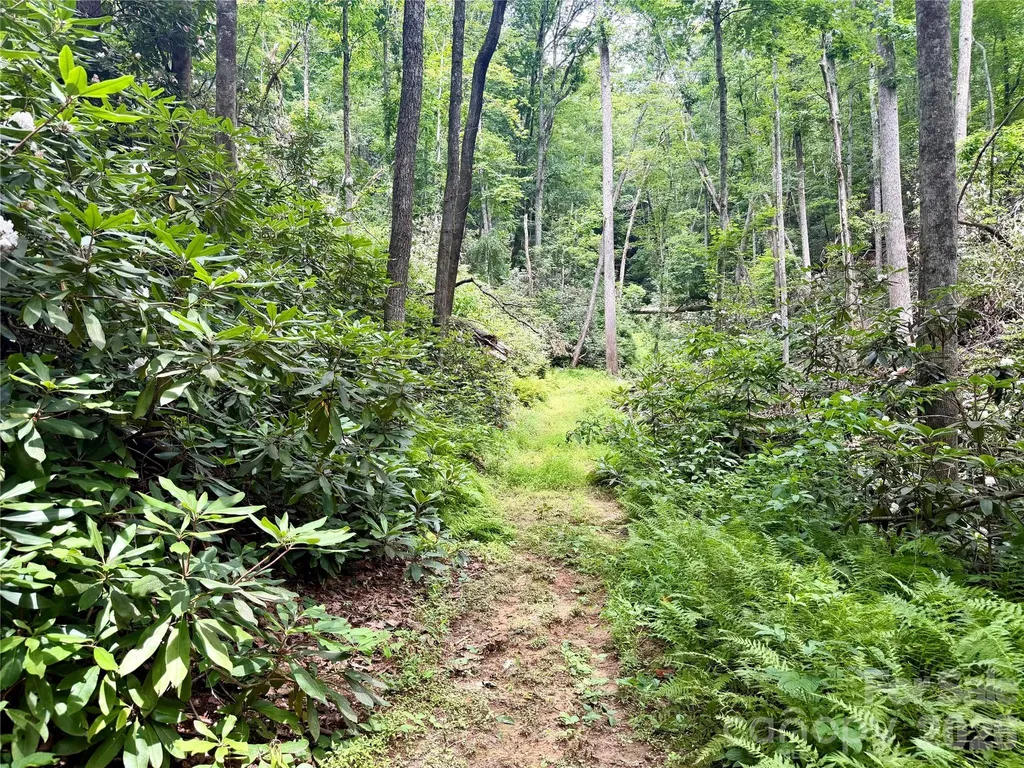 106 Flora Lina Drive Brevard NC 28712