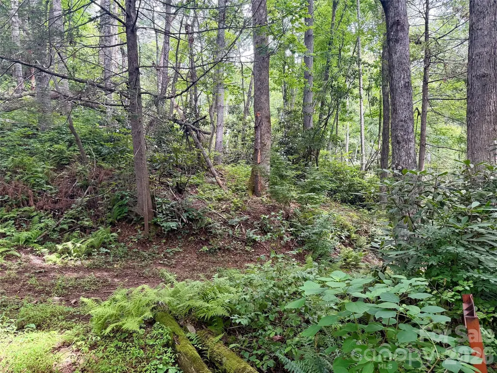 106 Flora Lina Drive Brevard NC 28712