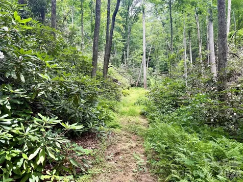 106 Flora Lina Drive Brevard NC 28712