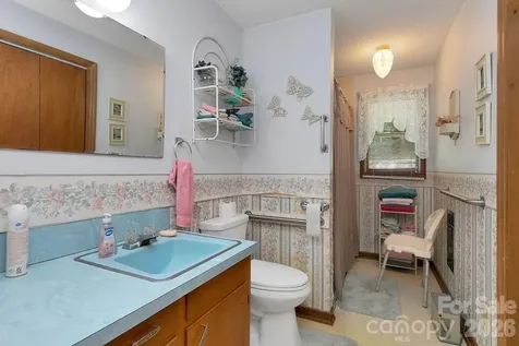 106 Flora Lina Drive Brevard NC 28712