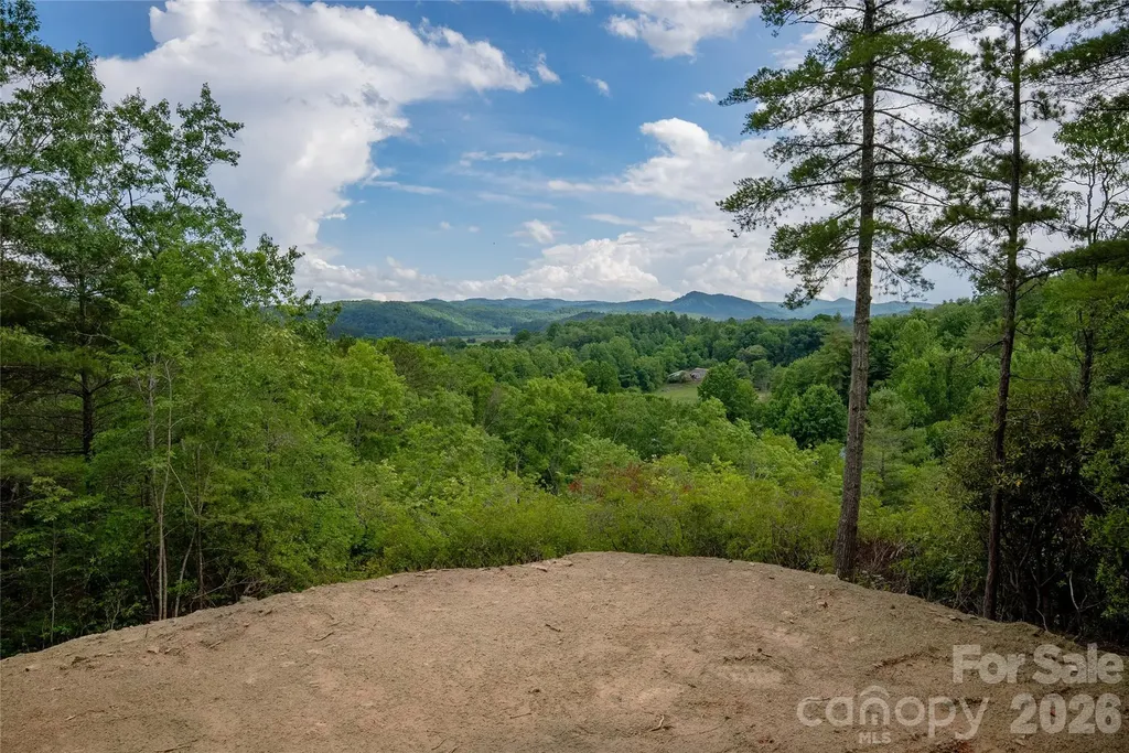 Tbd Cherryfield Loop Road Brevard NC 28712
