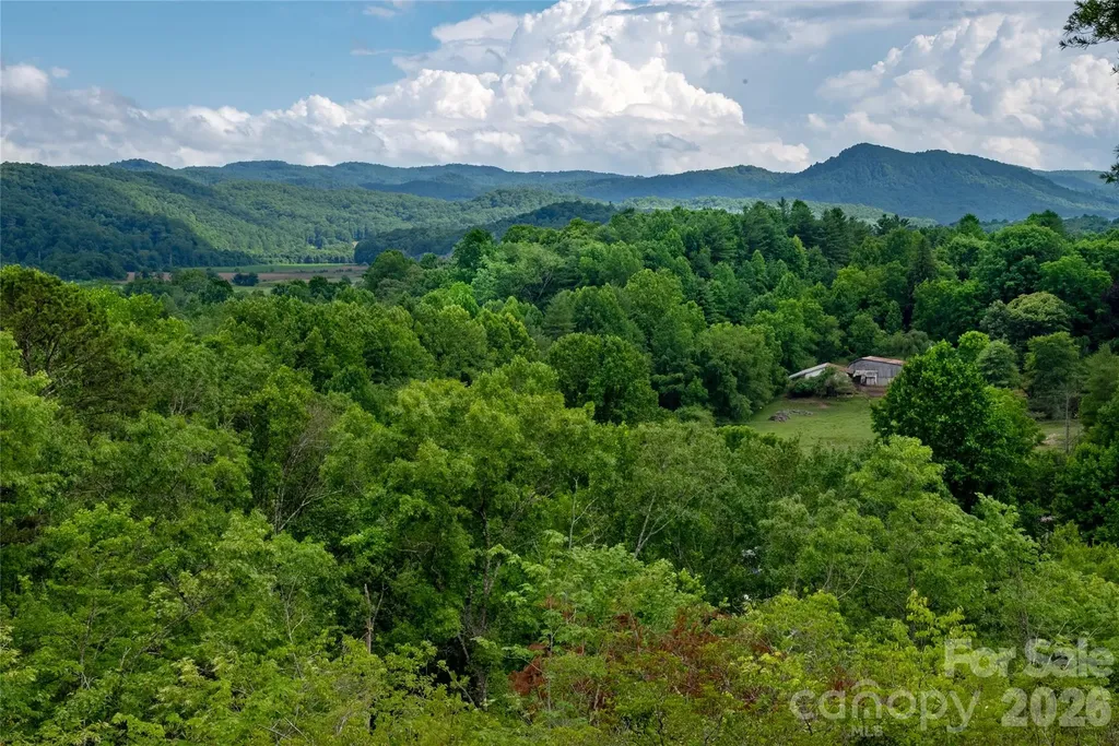 Tbd Cherryfield Loop Road Brevard NC 28712