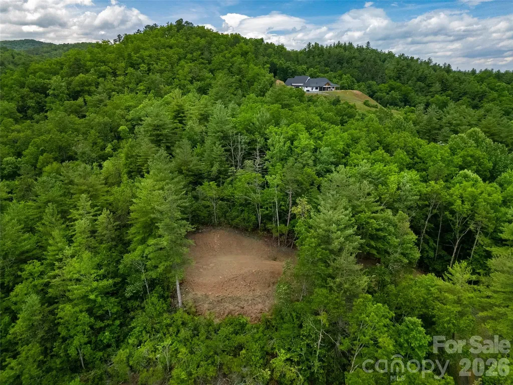 Tbd Cherryfield Loop Road Brevard NC 28712