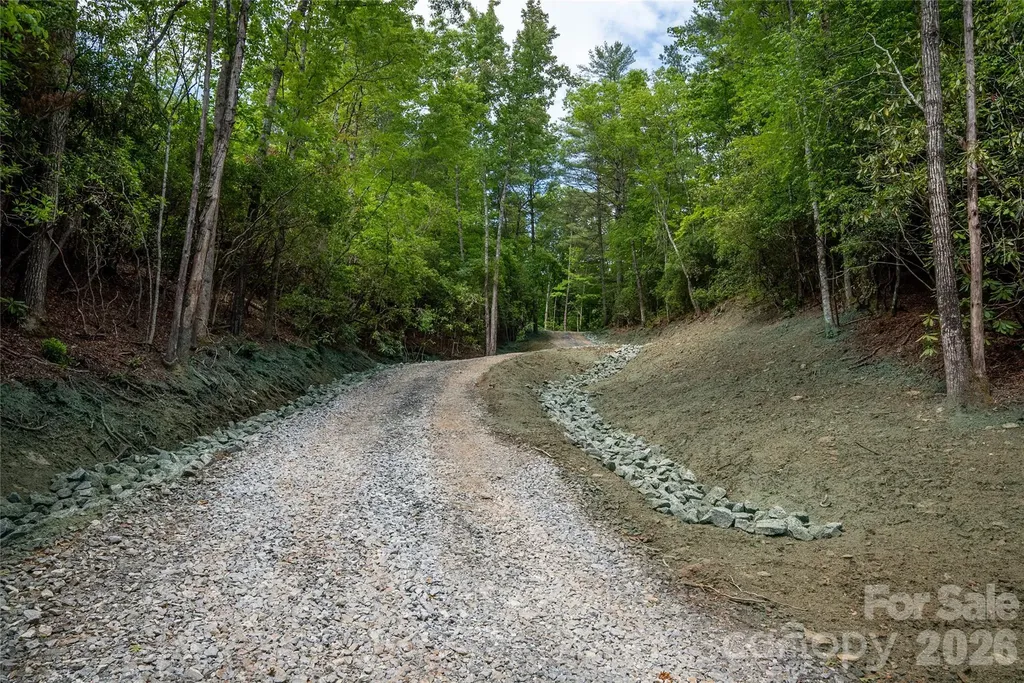 Tbd Cherryfield Loop Road Brevard NC 28712