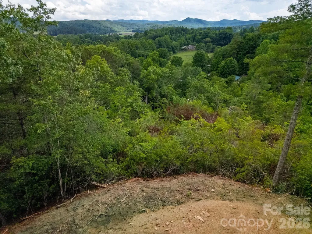 Tbd Cherryfield Loop Road Brevard NC 28712