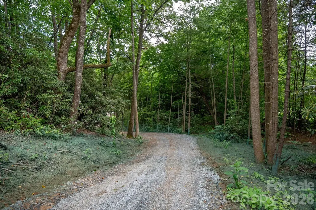 Tbd Cherryfield Loop Road Brevard NC 28712