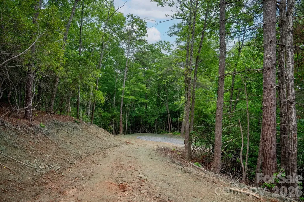 Tbd Cherryfield Loop Road Brevard NC 28712