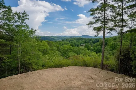 Tbd Cherryfield Loop Road Brevard NC 28712