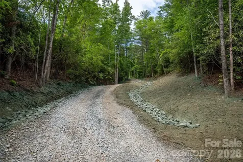 Tbd Cherryfield Loop Road Brevard NC 28712