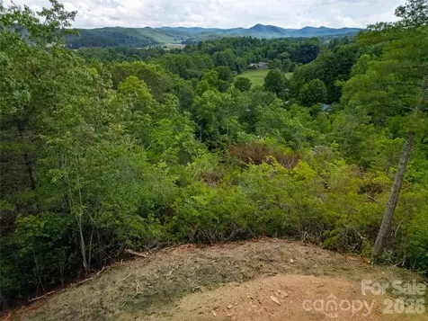 Tbd Cherryfield Loop Road Brevard NC 28712