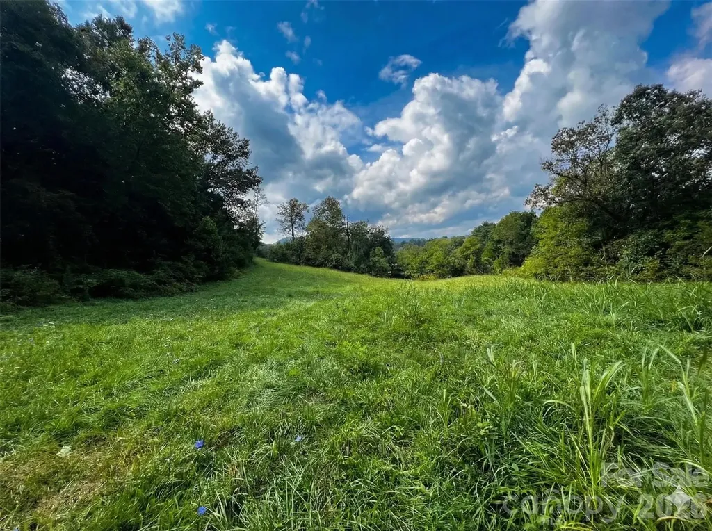 37 Amber Lane Clyde NC 28721