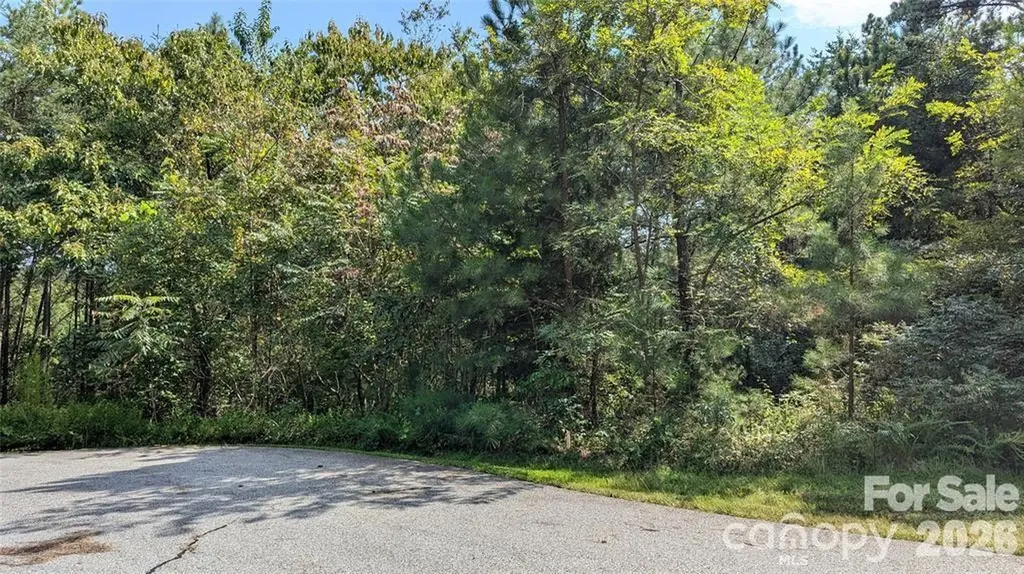 14 Spring Hollow Road Lake Lure NC 28746