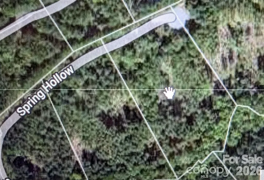 14 Spring Hollow Road Lake Lure NC 28746