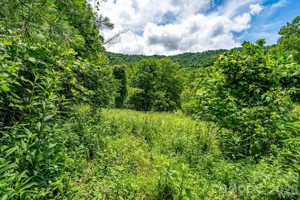 789 Jarrett Cove Road Marshall NC 28753