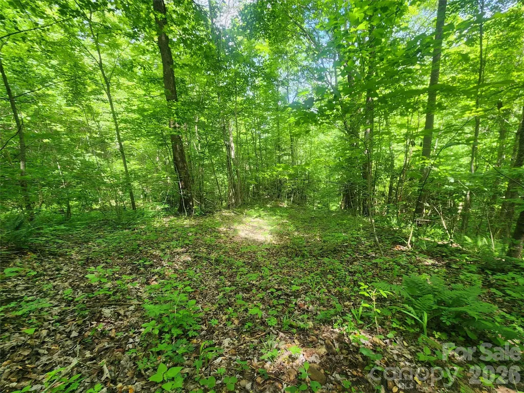 789 Jarrett Cove Road Marshall NC 28753