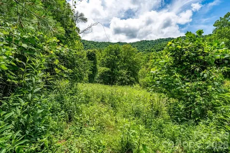 789 Jarrett Cove Road Marshall NC 28753