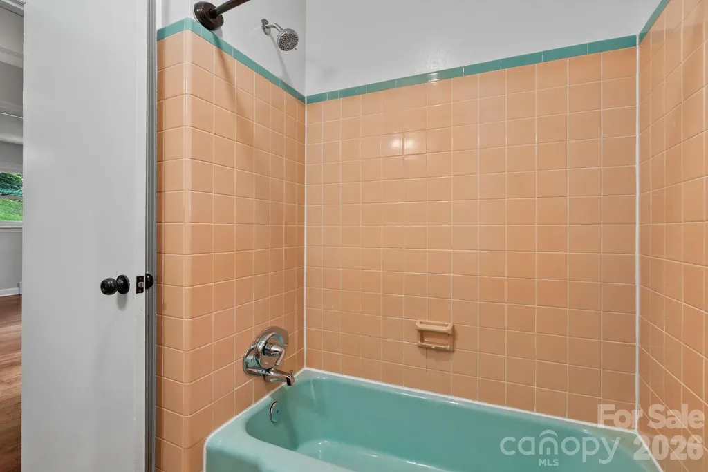 11 Von Ruck Court Asheville NC 28801