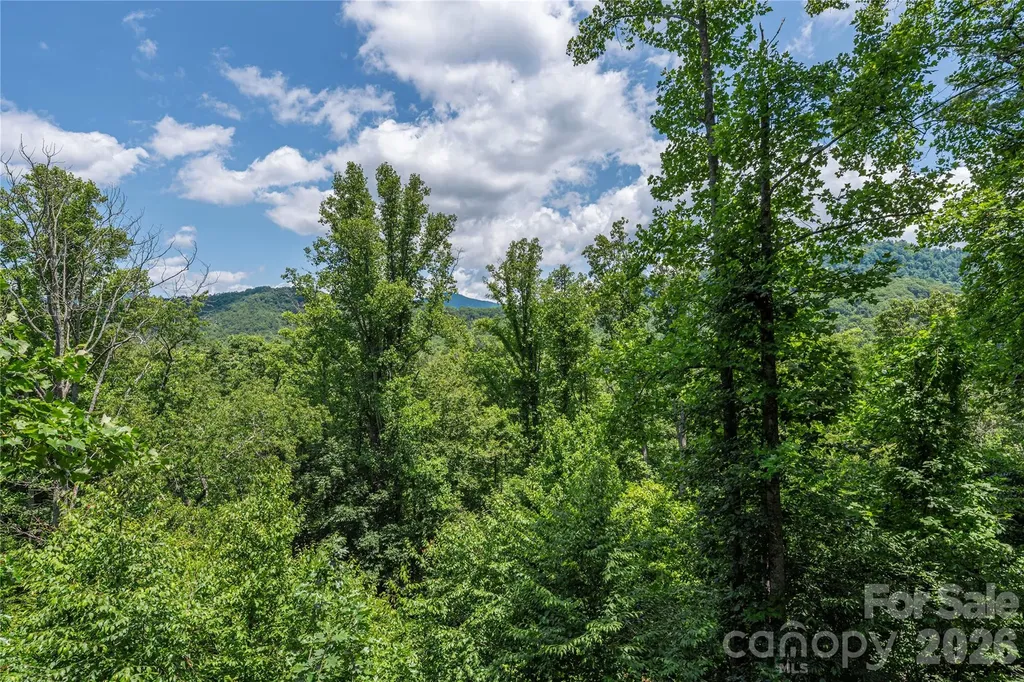 30 Garren View Drive Fairview NC 28730