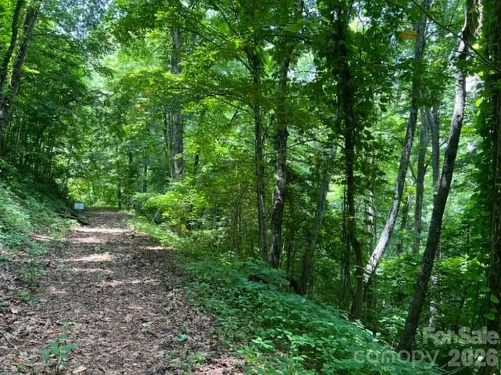 00 Utah Mountain Road Waynesville NC 28785