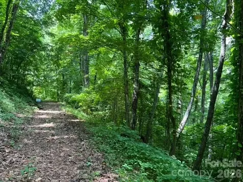 00 Utah Mountain Road Waynesville NC 28785