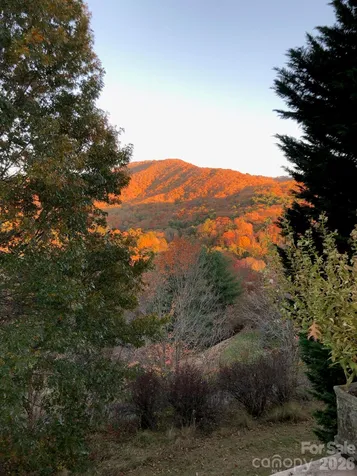 48 Stony Ridge Asheville NC 28804