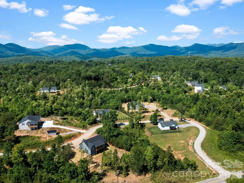 105 S Vineyard Village Drive Old Fort NC 28762