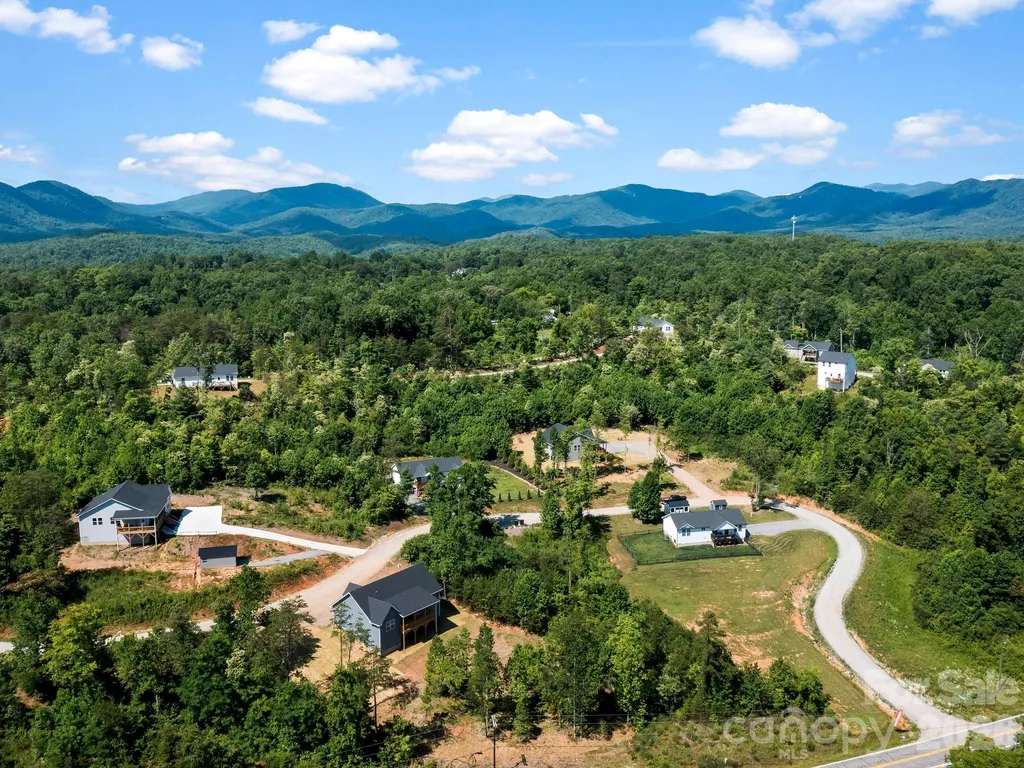 80 S Vineyard Village Drive Old Fort NC 28762
