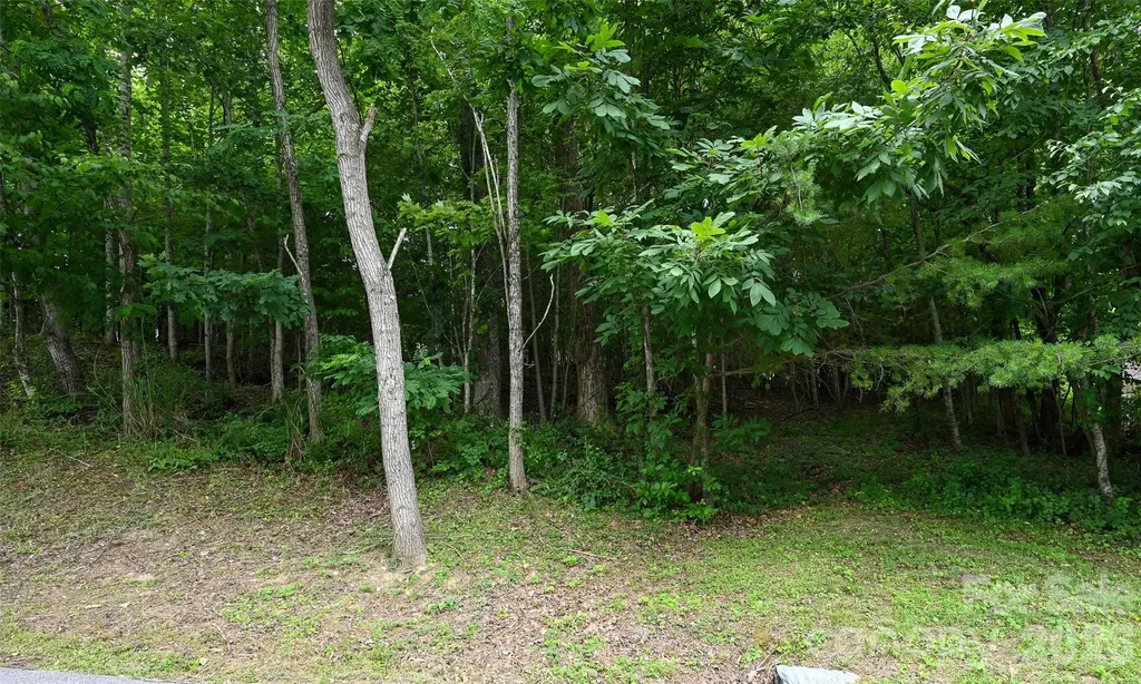 77 Carriage West Drive Hendersonville NC 28791