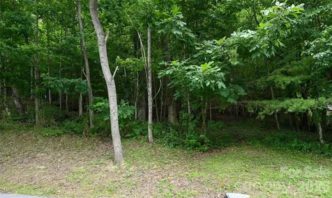77 Carriage West Drive Hendersonville NC 28791