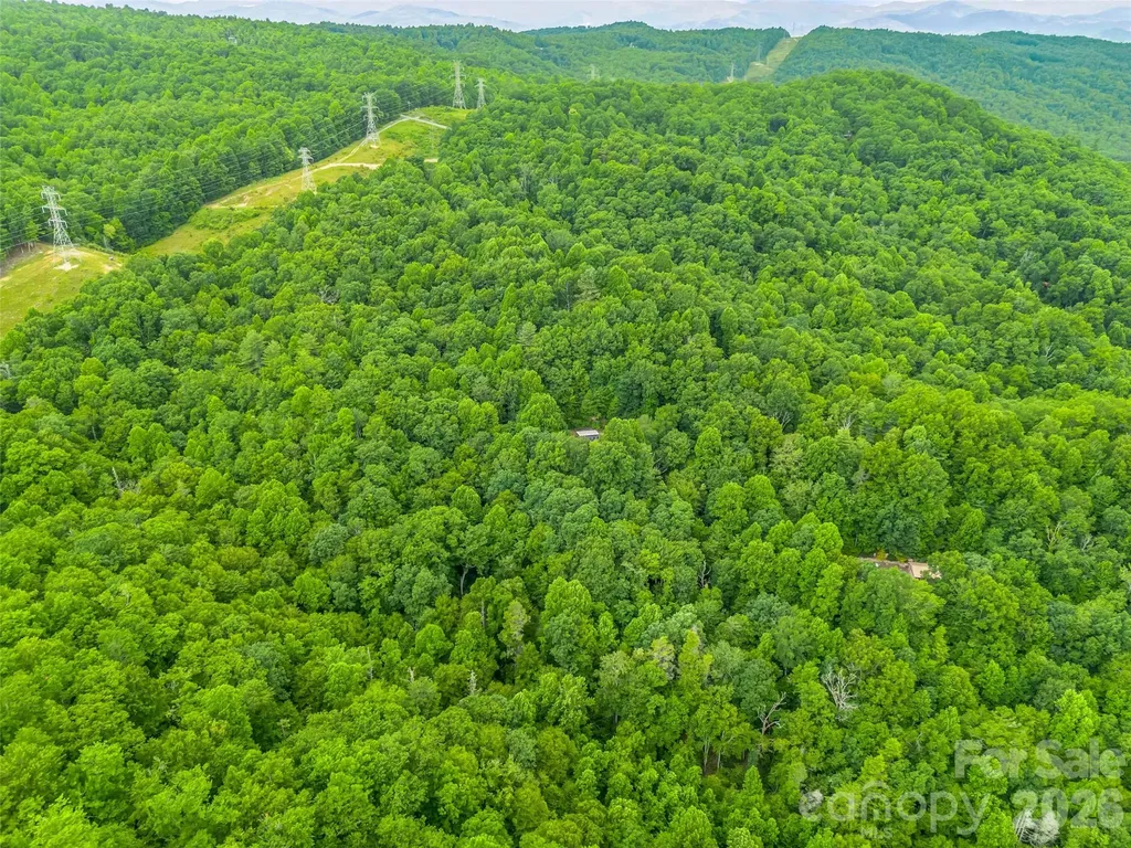 707 Cascade Trail Pisgah Forest NC 28768