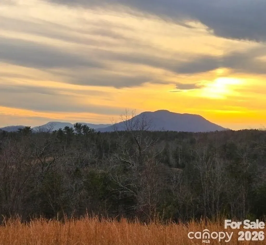 Lot #1 Price Summit Way Mill Spring NC 28756