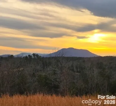 Lot #1 Price Summit Way Mill Spring NC 28756