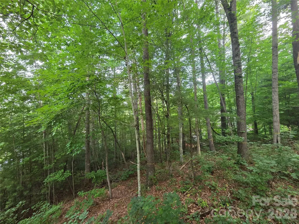 16 Courseview Drive Weaverville NC 28787