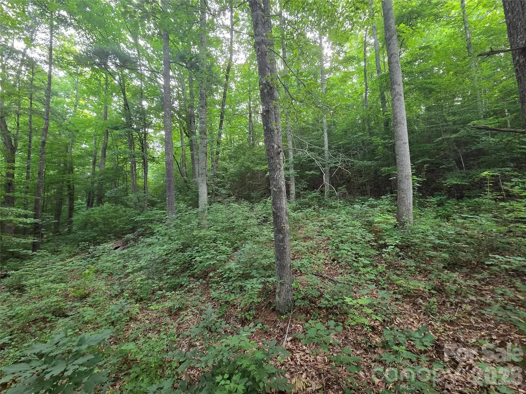 16 Courseview Drive Weaverville NC 28787