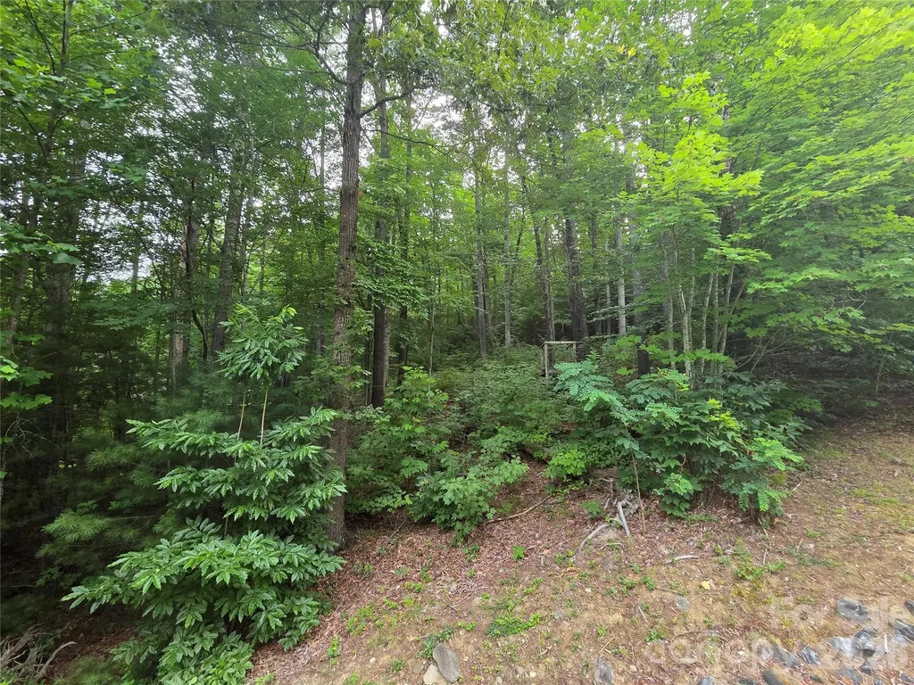 16 Courseview Drive Weaverville NC 28787