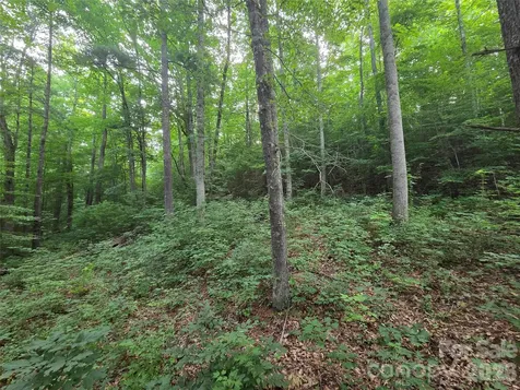 16 Courseview Drive Weaverville NC 28787